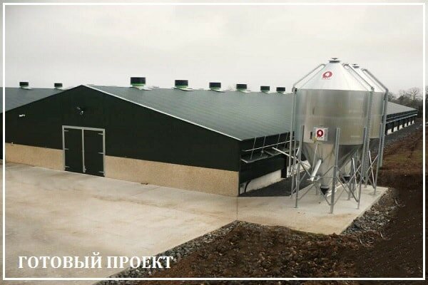 Этапы возведения птицефабрики от завода ВелесТент-фрм